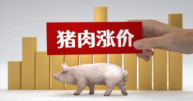 供过于求下，猪价或有快速回落的风险？